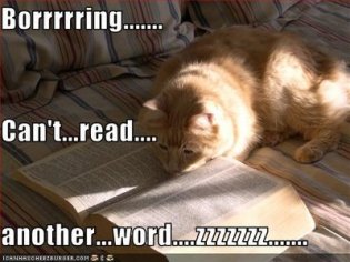 boring+book+cat[1].jpg