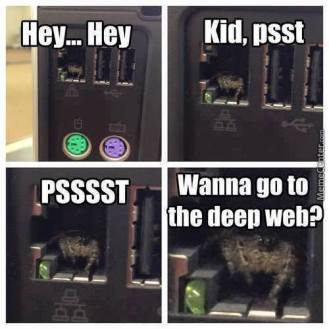 wanna_go_to_the_deep_web[1].jpg